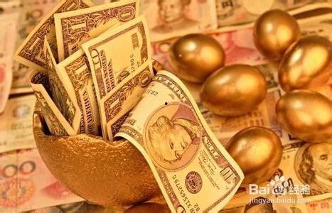 金钱能买到的最好的民主,揭秘财富与民主的完美融合  第3张