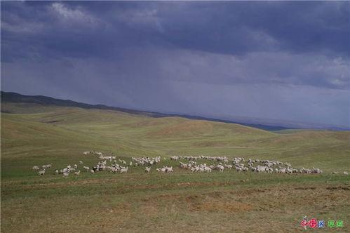 在草原上,自然与人文的交融画卷