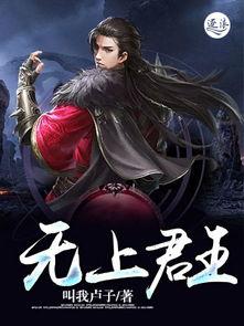 无上君王,巅峰霸业传奇  第3张