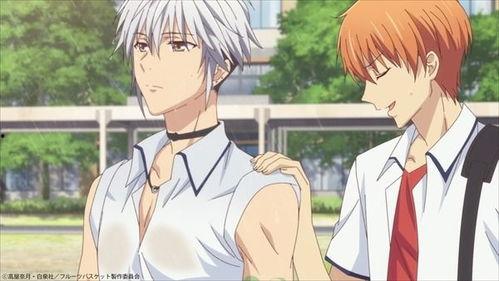 水果篮子 第一季,温馨治愈的奇幻校园生活  第2张