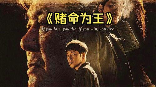 赌命为王  第二季,生死对决，巅峰再起