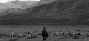 西藏时光,穿越千年雪域风情  第2张