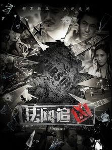 法网追凶,正义终将追凶归案  第3张