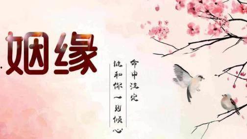 贺总为白月光取消订婚，我不嫁了,不嫁了！