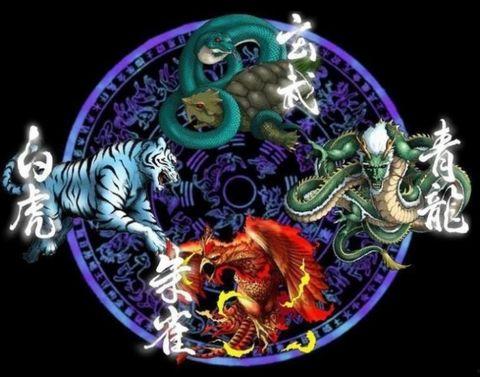 四大神兽外传,神秘力量的觉醒之旅  第2张