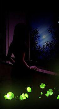 不眠春潮,探寻都市夜生活的脉动与魅力  第3张