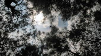 心灵之地 第十三季,神秘回归，命运交织  第2张