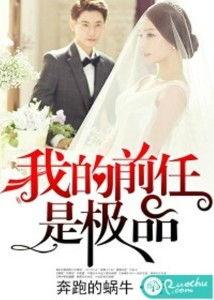 我的极品前任,爱恨交织的回忆录