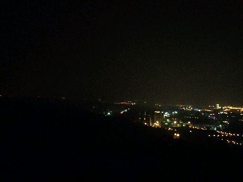 夜色缠枝,探寻都市光影中的诗意人生  第2张