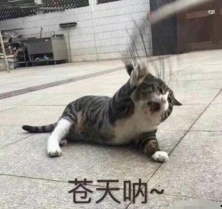 阿姨宠我亲，我带阿姨赚黄金