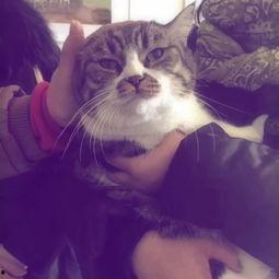 阿姨宠我亲,我带阿姨赚黄金 第2张 阿姨宠我亲,我带阿姨赚黄金 第2张