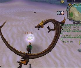 龙在哪里,龙在哪里? 第2张 龙在哪里,龙在哪里? 第2张