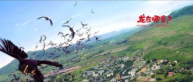 龙在哪里,龙在哪里? 第3张 龙在哪里,龙在哪里? 第3张