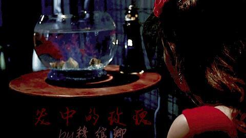 笼中玫瑰之致命依恋,揭秘致命依恋的暗黑魅力  第2张