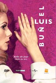 白日美人  第2张