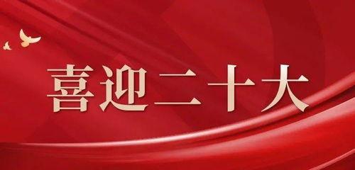 过量 2022,过量现象的深度剖析与反思