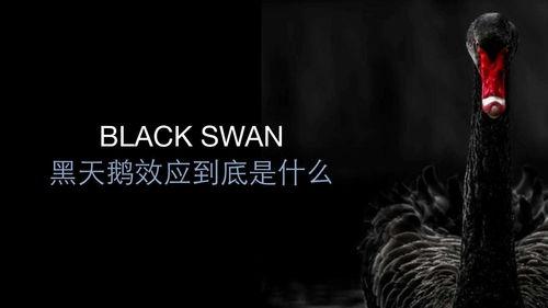 客久成主,见证历史变迁的传奇故事  第1张