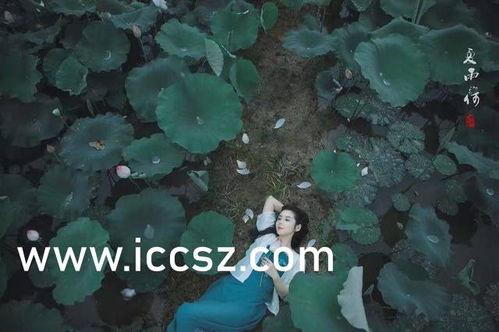 泰国性痴迷,痴迷背后的社会与文化解读 第1张 泰国性痴迷,痴迷背后的社会与文化解读 第1张